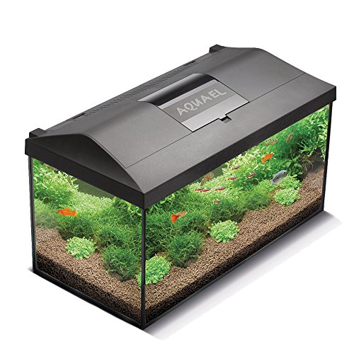 Aquael 5905546192163 Leddy LED 40 - Acuario Completo (25 L, con tecnología LED Moderna)