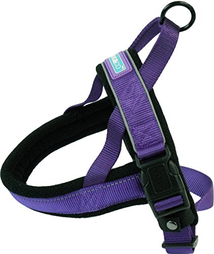 Arnés de Rendimiento DOG & CO Norwegian pequeño, Morado