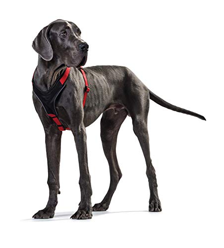 Arnés Hunter para perros, de nailon/neopreno, rojo, 73-94