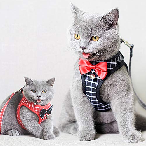Arnés para Gato y Correa a Prueba de Escape, arnés de Malla Tipo Chaleco, Ajustable y Suave para pasear al Gato, para Gatos pequeños medianos Grandes Mascotas Gatito Cachorro Conejo