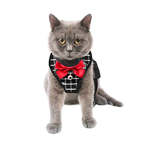 Arnés para Gato y Correa a Prueba de Escape, arnés de Malla Tipo Chaleco, Ajustable y Suave para pasear al Gato, para Gatos pequeños medianos Grandes Mascotas Gatito Cachorro Conejo