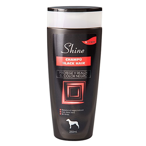 Arppe 2926012500 Champú Shine Black Hair, 250 ml