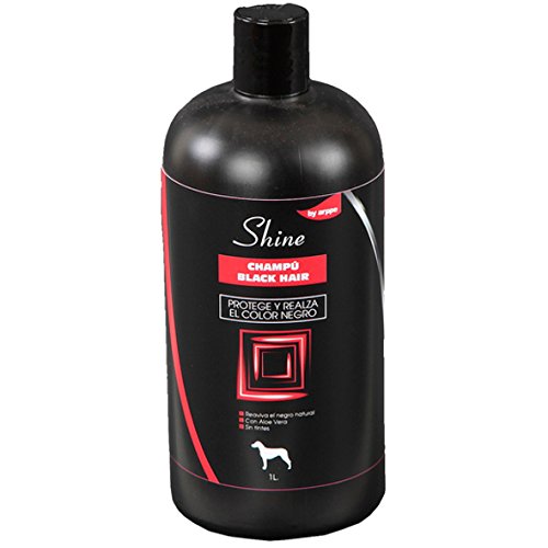 Arppe 2926019100 Champu Shine Black Hair, 1 L
