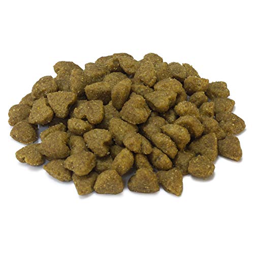 Arquivet Pienso para gatos Cat Adult Turkey - 1,5kg