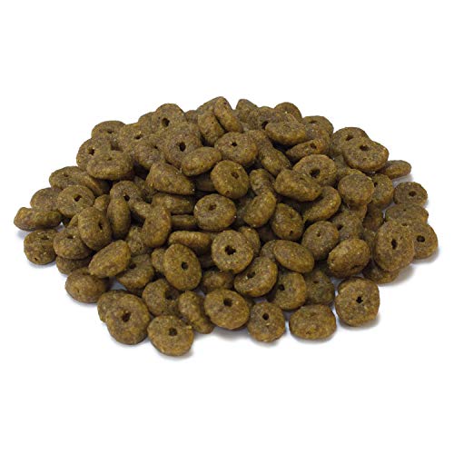 Arquivet Pienso para gatos Kitten Turkey -1,5kg