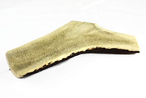 ARTISAN GIFT CO Asta de Ciervo Partida 100% Natural – (M) +51g. (1 Unidad) Ideal para Cachorros, Masticadores Suaves y Perros Senior