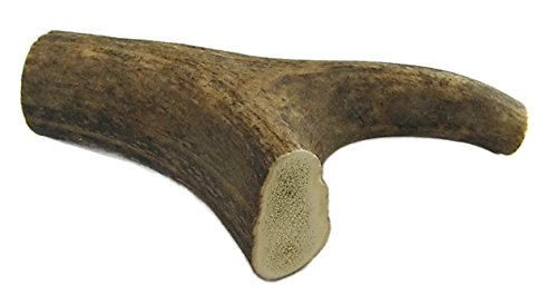ARTISAN GIFT CO Mordedor Ecológico para Perros de Asta de Ciervo 100% Natural – Tamaño M (1 Unidad) +75 gr.