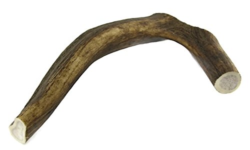 ARTISAN GIFT CO Mordedor Ecológico para Perros de Asta de Ciervo 100% Natural – Tamaño M (2 Unidades)