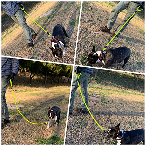 AVANZONA Correa para Perros Color Flúor Nylon Redonda, Resistente Cómodo Antitirones, Hecha a Mano en la UE, Correa de Adiestramiento para Perros Pequeños, Medianos y Grandes 1,2 * 120cm (Amarillo)