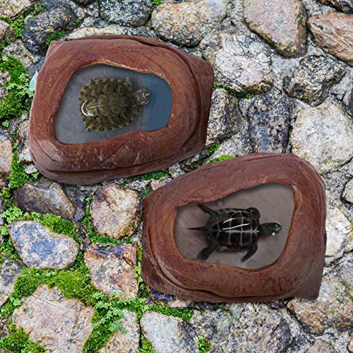 Balacoo 2 Unids Reptil Cuenco de Comida Tortuga Cuenco de Agua Terrario Cuenco de Agua Dragón Barbudo Plato de Alimentación para Lagarto Anoles Dragones Barbudos Tortuga
