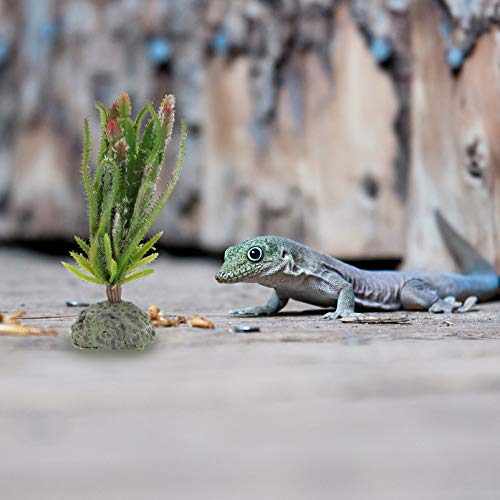 Balacoo Plantas de Reptiles Decoración de Terrario Artificial Cactus Plantas de Plástico Ornamentos para Lagartijas GECO Barbudo Dragón Decoración de Habitación Verde