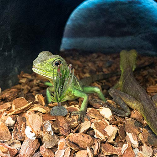 Balacoo Plantas de Reptiles Decoración de Terrario Artificial Cactus Plantas de Plástico Ornamentos para Lagartijas GECO Barbudo Dragón Decoración de Habitación Verde