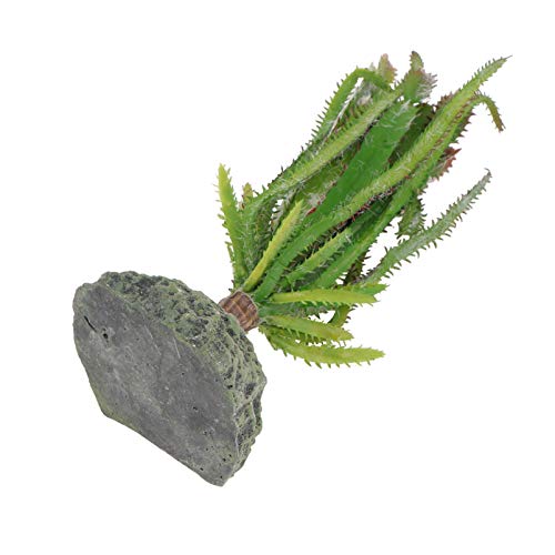 Balacoo Plantas de Reptiles Decoración de Terrario Artificial Cactus Plantas de Plástico Ornamentos para Lagartijas GECO Barbudo Dragón Decoración de Habitación Verde