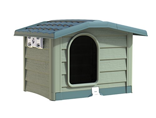 Bama bungaló Caseta