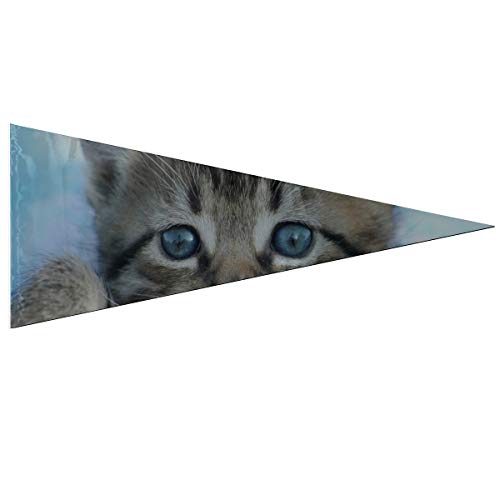 Banderas de pancartas de fiesta Gato animal Gatito Mascotas Gato doméstico Gato atigrado Gris Bandera de patio divertido Clásico 12 X 30 pulgadas Suave y duradero para decoración de exteriores e int