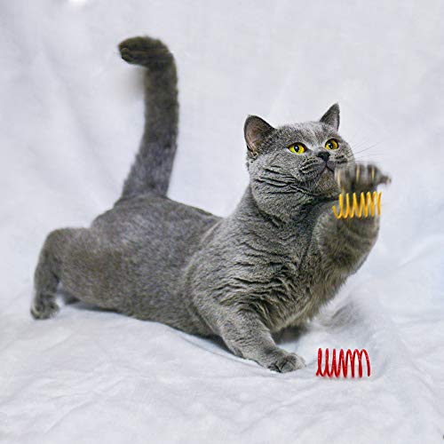 Baven 16pcs Juguete Colorido del Gato Primavera Plástico para Gato Gatito Mascotas Novedad Regalo