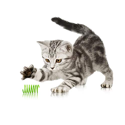 Baven 16pcs Juguete Colorido del Gato Primavera Plástico para Gato Gatito Mascotas Novedad Regalo