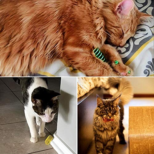 Baven 16pcs Juguete Colorido del Gato Primavera Plástico para Gato Gatito Mascotas Novedad Regalo