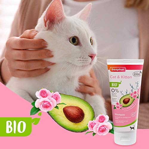 Beaphar 17747 Champú orgánico para Gatos y Vetas