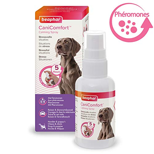 Beaphar CANICOMFORT Spray Perros 60ML