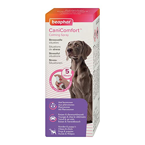 Beaphar CANICOMFORT Spray Perros 60ML