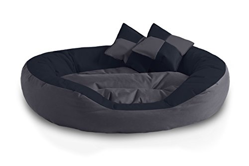 BedDog® 4en1 Saba Antracita/Gris XL Aprox. 85x70cm colchón para Perro, 7 Colores, Cama, sofá, Cesta para Perro