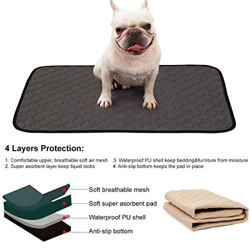 BePetMia Alfombras Lavables y Superabsorbentes, Pee Pad Sanitarias Reutilizables para Jaulas, Cama, Vehiculos, Soluciones para Cachorros y Perros Que Padecen Incontinencia (S: 60x45cm, Beige)