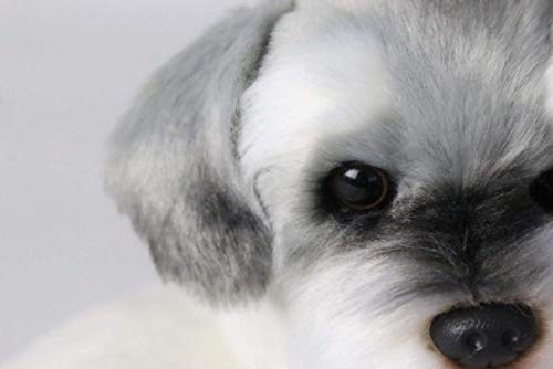 Bigbarry Cómodo Perro Relleno de Animal, Perro Almohadilla de la Felpa de simulación Soft Fur Animal Lindo de 7,5 Pulgadas Natural