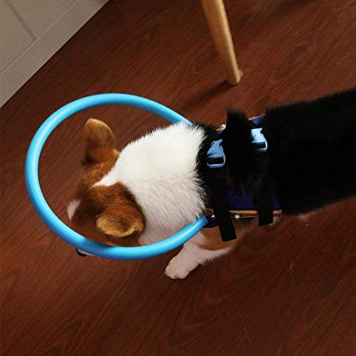 Binghotfire Anillo anticolisión para Mascotas Anillo de protección Animal de cataratas Guía Anillo Ciego Azul 37cm