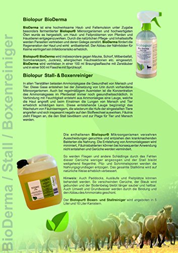 Biolopur Neutralizador de olores | Eliminador de olores – Spray | Limpiador de orina | Concentrado 1:10