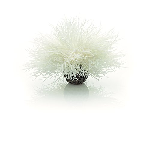 biOrb 46078 Lirio Marino Blanco, Un tamaño