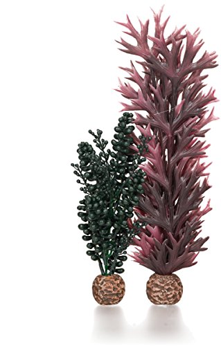 biOrb Seapearls & Kelp Dark Green Verde alfonbrilla para ratón