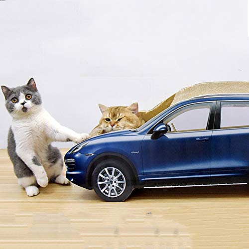 BJL Azul del Tablero del rasguño del Gato del autobús del Pasajero del autobús del Pasajero Grande del Gato del rasguño del Gato arañazo de Gato (Color : A)