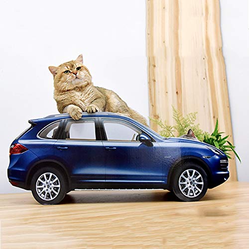 BJL Azul del Tablero del rasguño del Gato del autobús del Pasajero del autobús del Pasajero Grande del Gato del rasguño del Gato arañazo de Gato (Color : A)