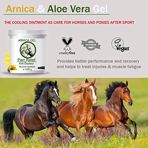 bleu &marine Bretania Gel de Árnica Montana y Aloe Vera Caballos - 1000 g