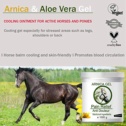 bleu &marine Bretania Gel de Árnica Montana y Aloe Vera Caballos - 1000 g