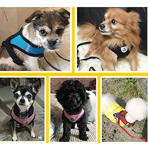 BLEVET Arnés Perro Gato Ajustable Respirante Pequeña Chaleco para Cachorros, Perros Pequeños y Gatos MZ046 (M, Pink)