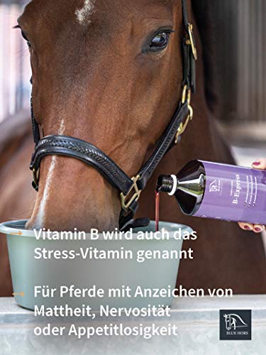 Blue Hors B-Express - Vitamina B para caballos y ponis; complemento alimenticio, en cambio de pelaje, cambio de alimentación, matura, nerviosidad, concentrado de vitaminas