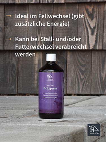 Blue Hors B-Express - Vitamina B para caballos y ponis; complemento alimenticio, en cambio de pelaje, cambio de alimentación, matura, nerviosidad, concentrado de vitaminas