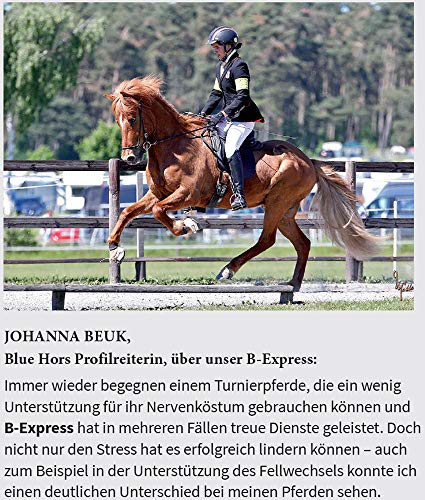 Blue Hors B-Express - Vitamina B para caballos y ponis; complemento alimenticio, en cambio de pelaje, cambio de alimentación, matura, nerviosidad, concentrado de vitaminas