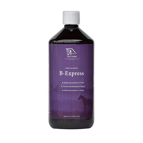 Blue Hors B-Express - Vitamina B para caballos y ponis; complemento alimenticio, en cambio de pelaje, cambio de alimentación, matura, nerviosidad, concentrado de vitaminas