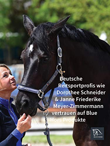 Blue Hors - Ventilador
