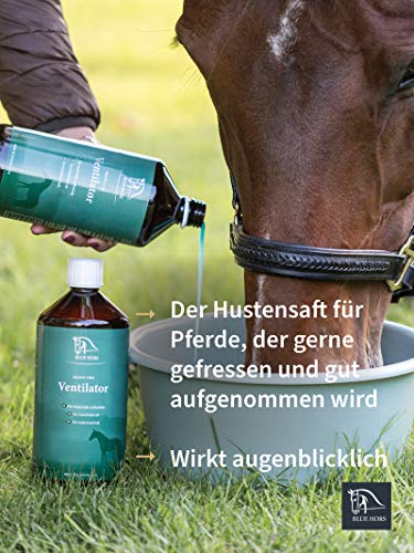 Blue Hors - Ventilador