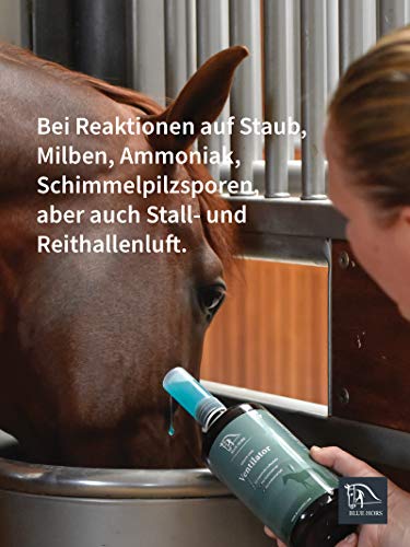 Blue Hors - Ventilador