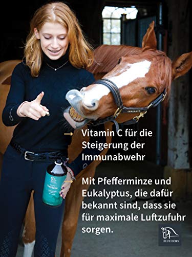 Blue Hors - Ventilador