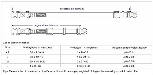 Blueberry Pet - Collar para Perros, Mariquita, Ajustable, Talla L, Circunferencia del Cuello de 46 – 66 cm