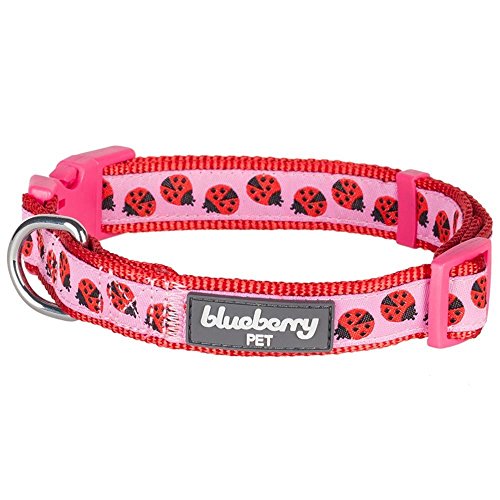 Blueberry Pet - Collar para Perros, Mariquita, Ajustable, Talla L, Circunferencia del Cuello de 46 – 66 cm