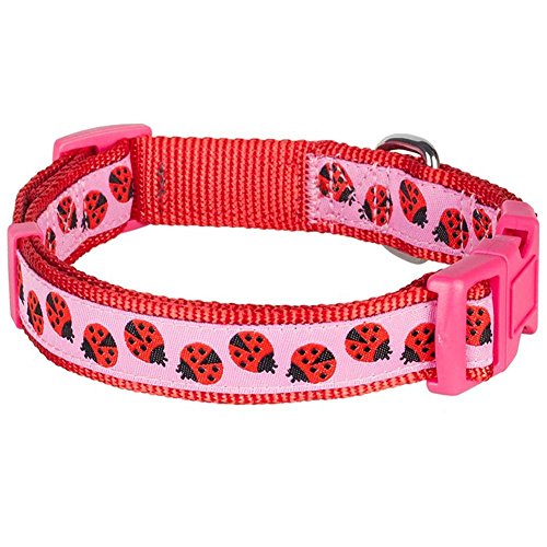 Blueberry Pet - Collar para Perros, Mariquita, Ajustable, Talla L, Circunferencia del Cuello de 46 – 66 cm