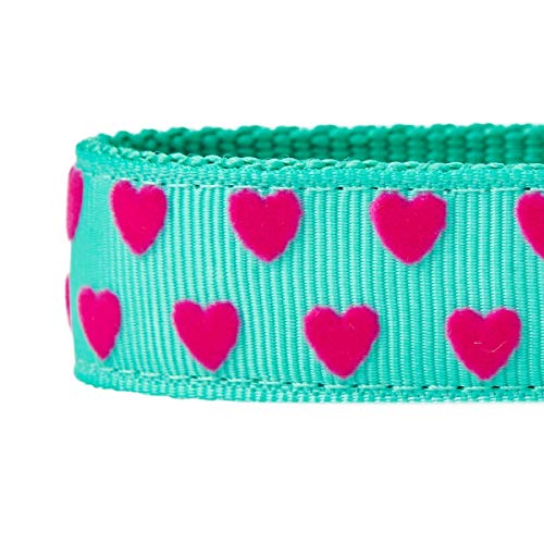 Blueberry Pet Correa para perros de Valentine con forma de corazón, color verde menta, 150 cm x 2 cm, tamaño mediano, para perros