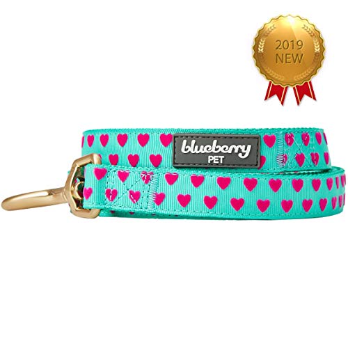 Blueberry Pet Correa para perros de Valentine con forma de corazón, color verde menta, 150 cm x 2 cm, tamaño mediano, para perros